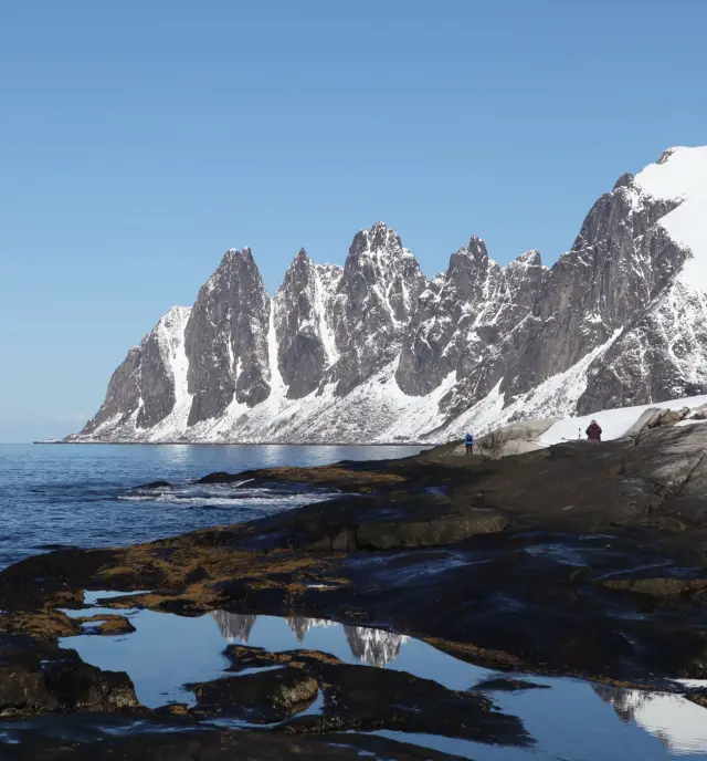 คริสต์มาสที่เซนยา 5 วัน 4 คืน Christmas Expedition on Senja วาฬ ฮัสกี้ แสงเหนือ