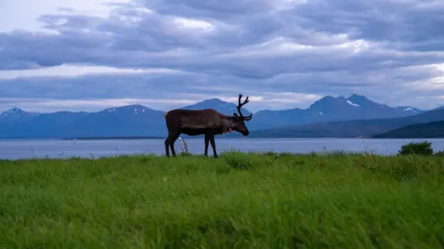Fjord Adventure by Coach ชมฟยอร์ดฝั่งตะวันตกทรอมโซ กับช่างภาพ