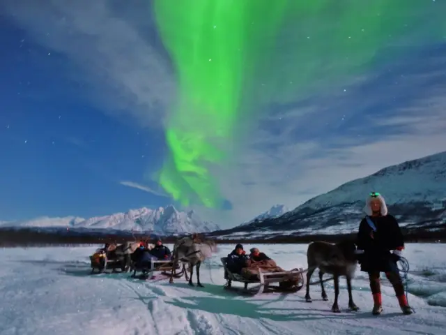 นั่งเลื่อนเรนเดียร์ยามค่ำ ลุ้นแสงเหนือ Reindeer Sledding Tromsø Lapland