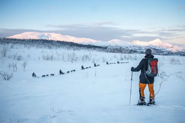 เดินลุยหิมะกับฮัสกี้รอบเช้า Morning Husky Snowshoe Trip ใกล้ทรอมโซ
