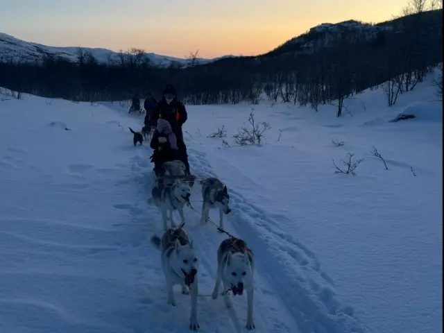 ขับเลื่อนสุนัขรอบบ่าย Dog Sledding in Skibotn Valley - Afternoon จากทรอมโซ