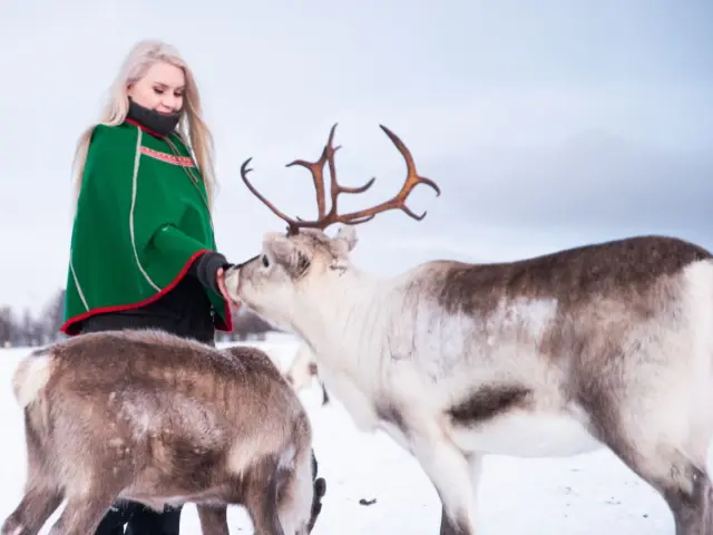 นั่งเลื่อนกวางเรนเดียร์รอบยาว Long Reindeer Sledding and Sámi Culture