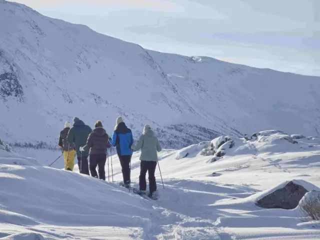 เดินลุยหิมะส่วนตัวขึ้นจุดชมวิว Private Snowshoeing to Viewpoint 1-8 คน