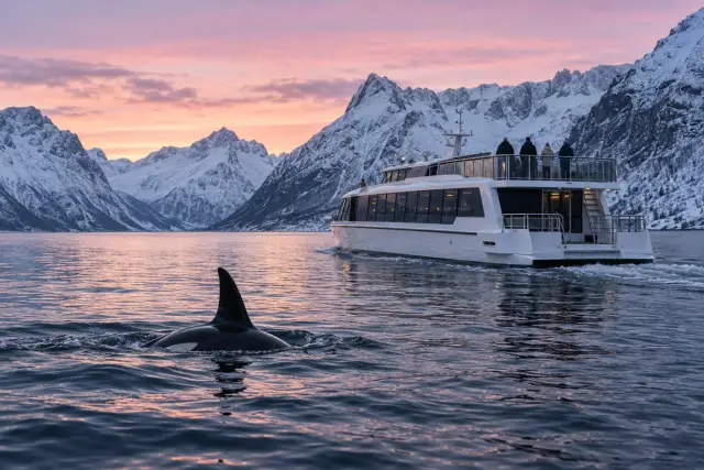 ล่องเรือไฟฟ้าเงียบชมวาฬจากทรอมโซ Silent Whale Watching