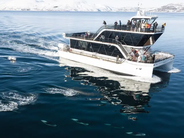 ล่องเรือฟยอร์ดอาร์กติกด้วยเรือไฟฟ้าไฮบริด แวะหมู่บ้านประมงเก่า Rya Arctic Fjord Cruise