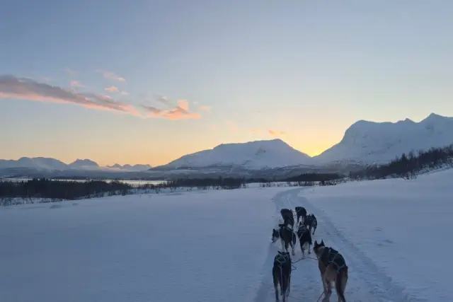 นั่งเลื่อนฮัสกี้กลุ่มเล็ก Dog Sledding บนเกาะ Kvaløya