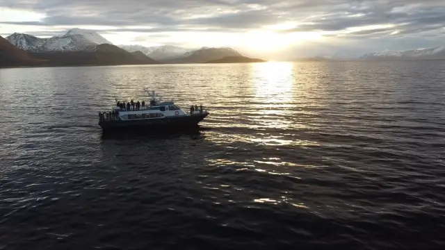 ล่องเรือชมวาฬ Polar Whale Safari แถบ Skjervøy จากทรอมโซ