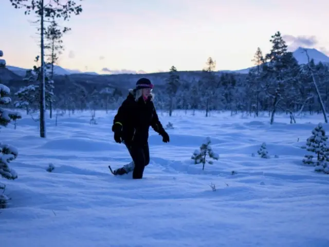 ซาฟารีตามหามูสป่า Wild Moose Safari หุบเขา Målselvdalen