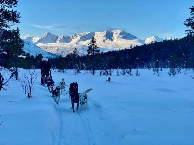 ขับเลื่อนสุนัขรอบบ่าย Dog Sledding in Skibotn Valley - Afternoon จากทรอมโซ