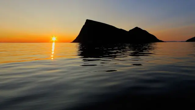 ล่องเรือส่วนตัวชมสัตว์ป่าและฟยอร์ดรอบเกาะควาลอยยา Wildlife Fjord Cruise Private