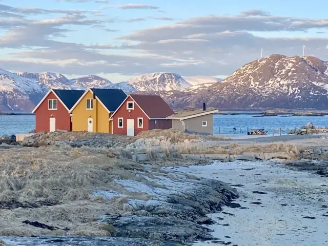 Arctic Fjord Tour ไป Sommarøy ทานอาหารนอร์เวย์จุดชมวิว