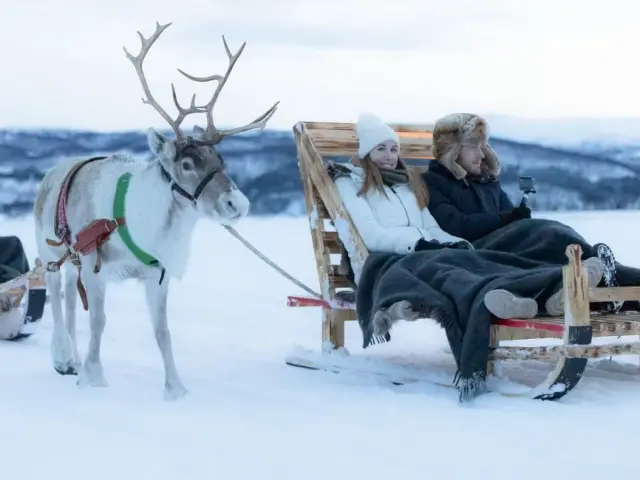 นั่งเลื่อนเรนเดียร์รอบสั้น Reindeer Sledding พร้อมมื้อกลางวันซามี