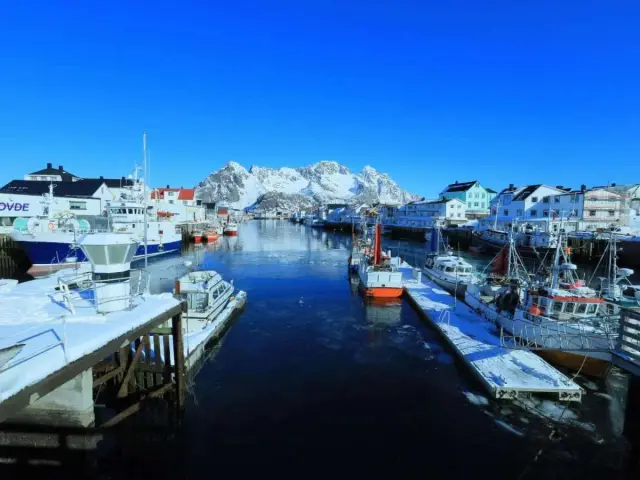 ทรอมโซ-อันเดอยา-โลโฟเทน 4 วัน 3 คืน Andøya and Lofoten Tour ผู้ประสานงานภาษาจีน