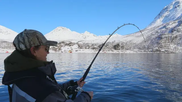ตกปลาทะเลเหมาลำพร้อมมื้อกลางวัน Boat Fishing with Lunch ฟยอร์ด Kattfjord