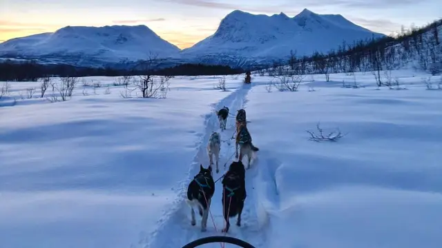 เลื่อนสุนัขเต็มวันริมทะเลสาบ Dog Sledding Day Trip ที่ Jægervatnet