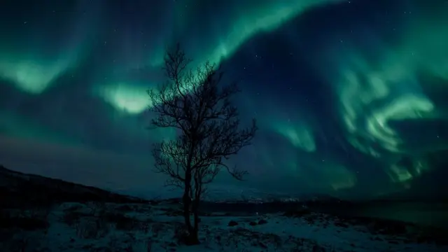 ทัวร์แสงเหนือครบจบ All-Inclusive Northern Lights Tour ทรอมโซ