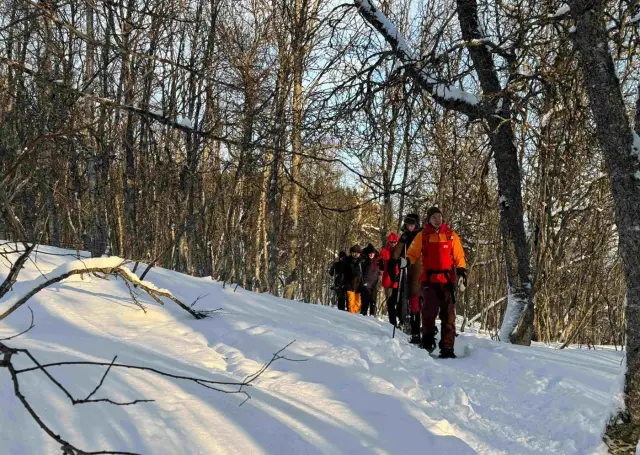 เดินลุยหิมะสั้นๆ ในป่าเกาะทรอมโซ Guided Snowshoe Trip on Tromsøya