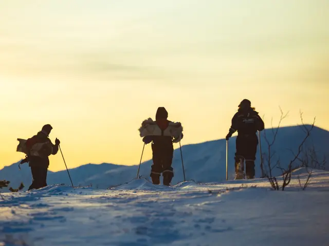 เดินลุยหิมะกับฮัสกี้รอบเช้า Morning Husky Snowshoe Trip ใกล้ทรอมโซ