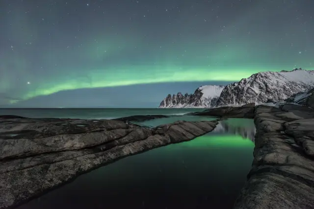 ปีใหม่ที่เซนยา 5 วัน 4 คืน New Year Expedition on Senja วาฬ ฮัสกี้ แสงเหนือ