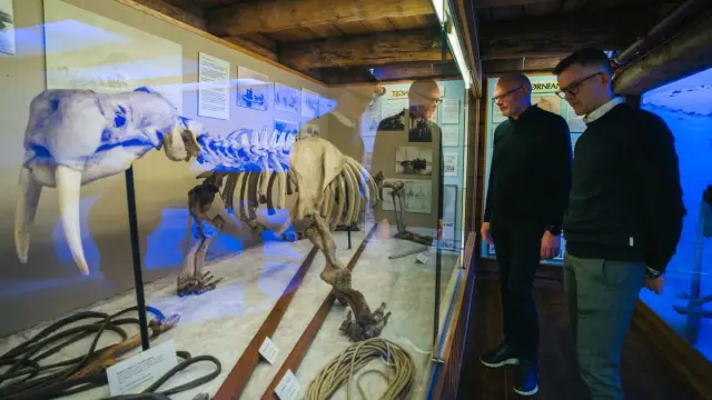 ทัวร์นำชมพิพิธภัณฑ์ขั้วโลก Guided Tour of the Polar Museum สุดสัปดาห์ฤดูร้อน