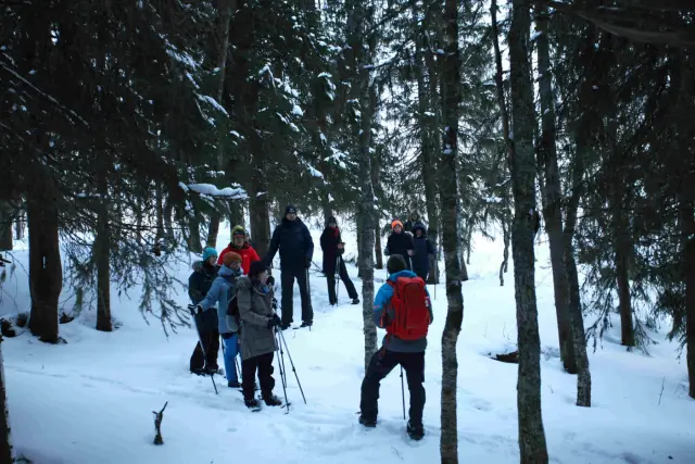 เดินลุยหิมะ เล่นเลื่อน และผิงกองไฟ Snowshoe Trip with a Campfire ช่วงเมษายน