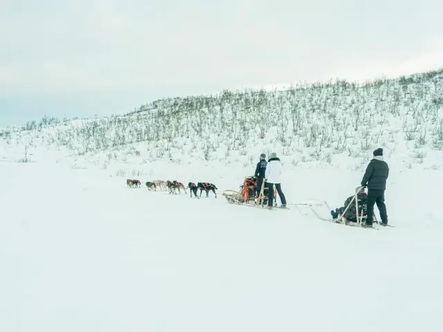 นั่งเลื่อนสุนัขบนเกาะควาลอยยา Dog Sledding in Tromsø ไปกับผู้ประสานงานทุกคัน